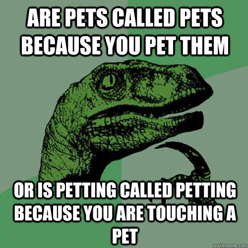 are pets called pets because you pet them or is petting call - Philosoraptor