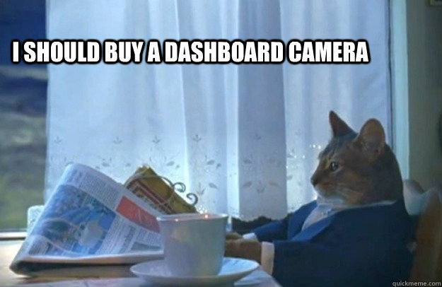 i should buy a dashboard camera - Sophisticated Cat