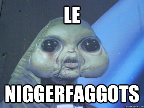 le niggerfaggots -