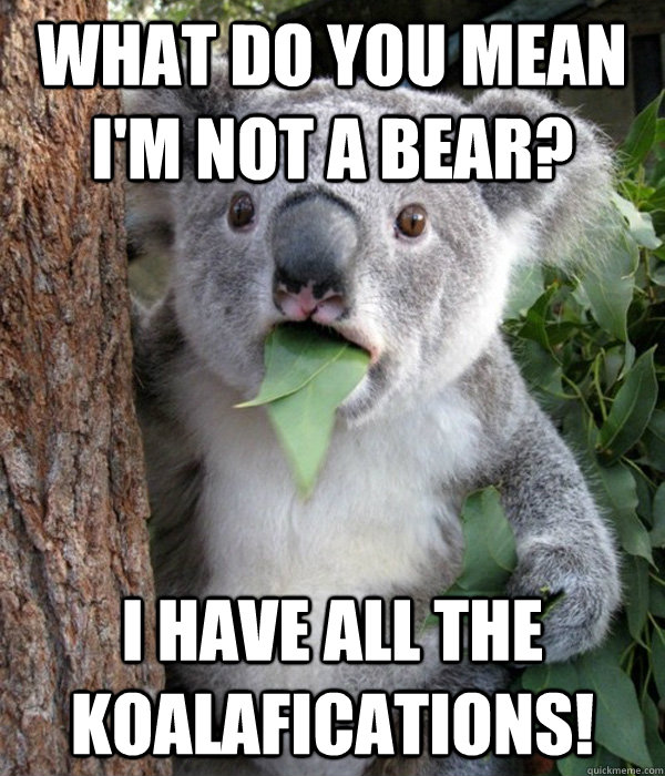 what do you mean im not a bear i have all the koalaficatio -