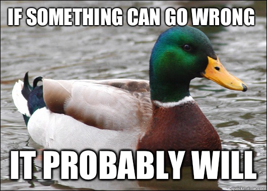 If something can go wrong It probably will - Actual Advice Mallard