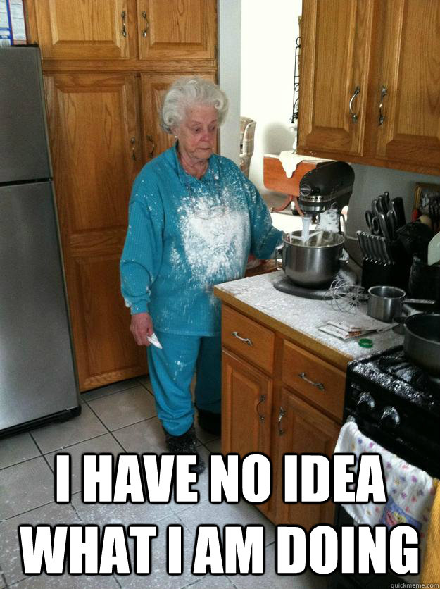 i have no idea what i am doing -
