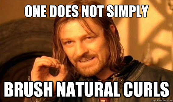 one does not simply brush natural curls - onedoesnotsimply