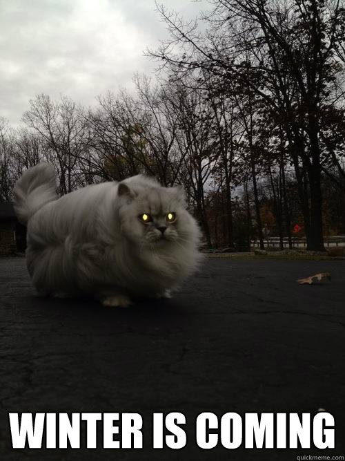 winter is coming -