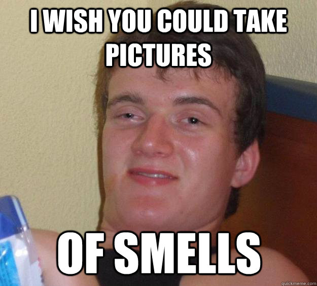 i wish you could take pictures of smells - 10 Guy