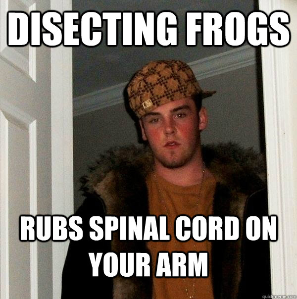 disecting frogs rubs spinal cord on your arm - Scumbag Steve