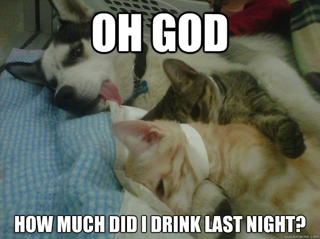 oh god how much did i drink last night -