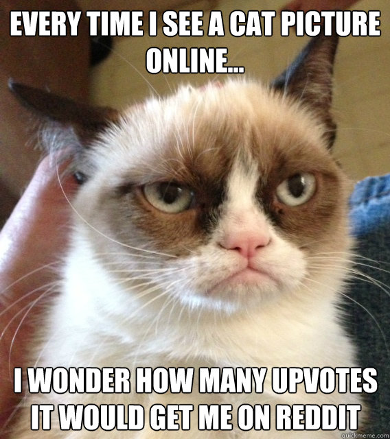 every time i see a cat picture online i wonder how many u - mad cat