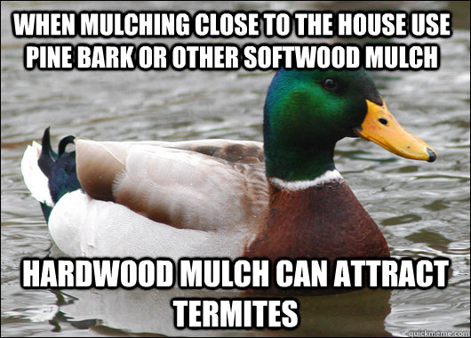 when mulching close to the house use pine bark or other soft - Actual Advice Mallard