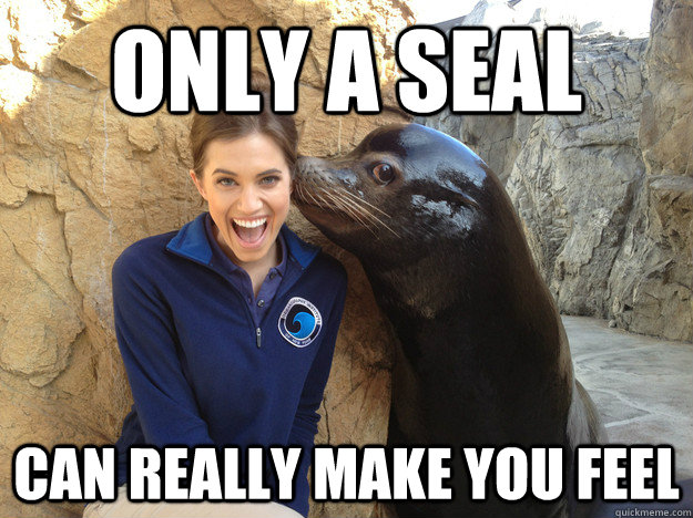 only a seal can really make you feel - Crazy Secret