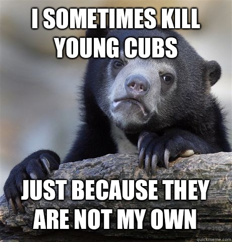 I sometimes kill young cubs Just because they are not my own - Confession Bear