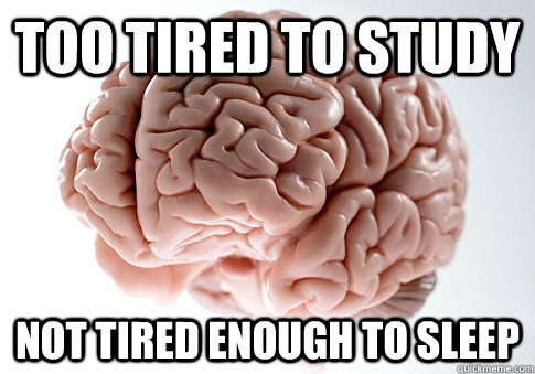 too tired to study not tired enough to sleep - Scumbag Brain