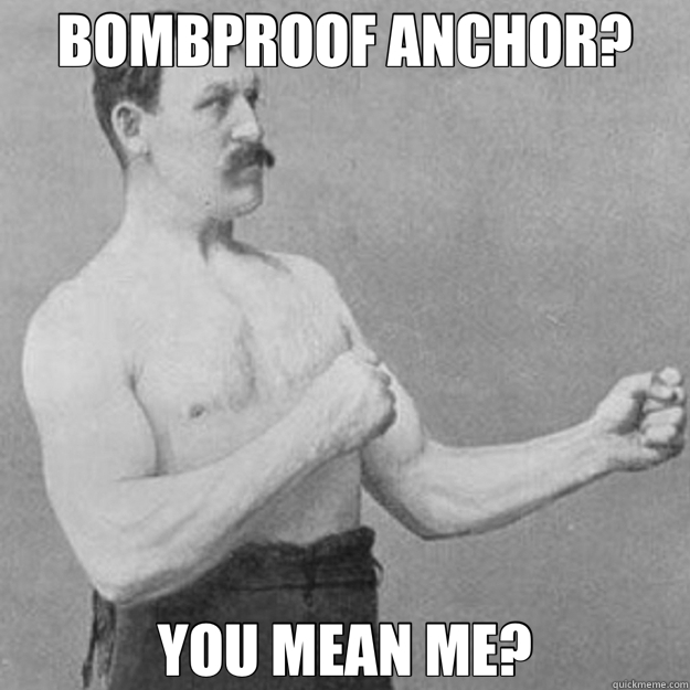 BOMBPROOF ANCHOR? YOU MEAN ME? - overly manly man