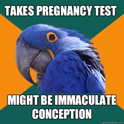Takes pregnancy test Might be immaculate conception - Paranoid Parrot