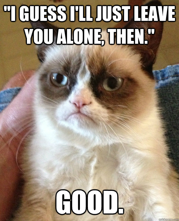 i guess ill just leave you alone then good - grumpycat