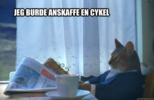 jeg burde anskaffe en cykel - Sophisticated Cat