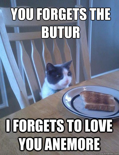 you forgets the butur i forgets to love you anemore - Breakfast Cat