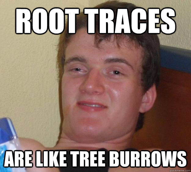 root traces are like tree burrows - 10 Guy