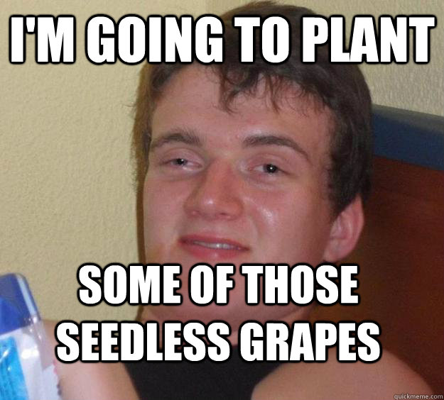 im going to plant some of those seedless grapes - 10 Guy