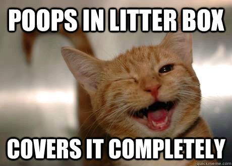 poops in litter box covers it completely - GoodGuyCat
