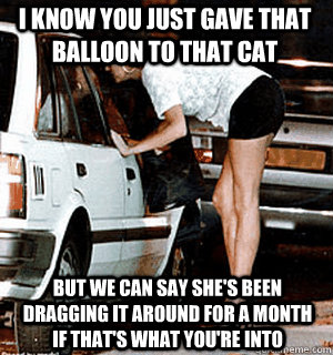 i know you just gave that balloon to that cat but we can say - Karma Whore