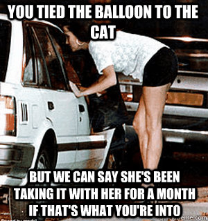 you tied the balloon to the cat but we can say shes been ta - Karma Whore
