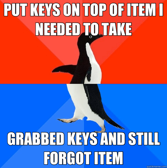 PUT KEYS ON TOP OF ITEM I NEEDED TO TAKE GRABBED KEYS AND ST - Socially Awesome Awkward Penguin