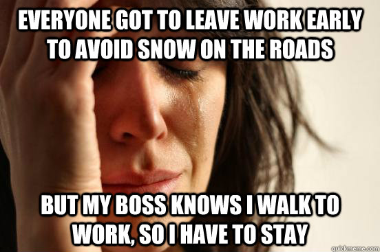 everyone got to leave work early to avoid snow on the roads  - First World Problems