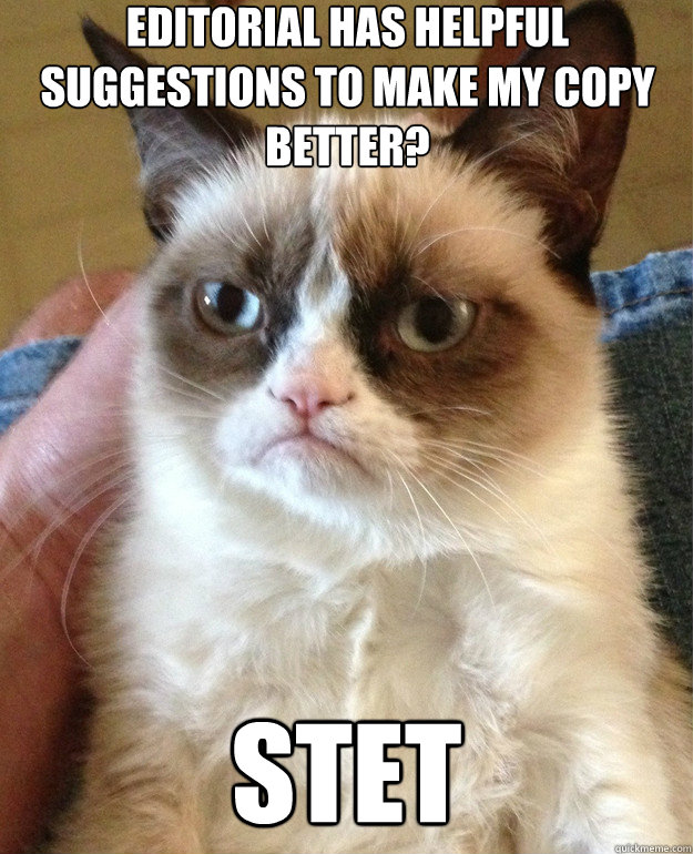 editorial has helpful suggestions to make my copy better st - Grumpy Cat