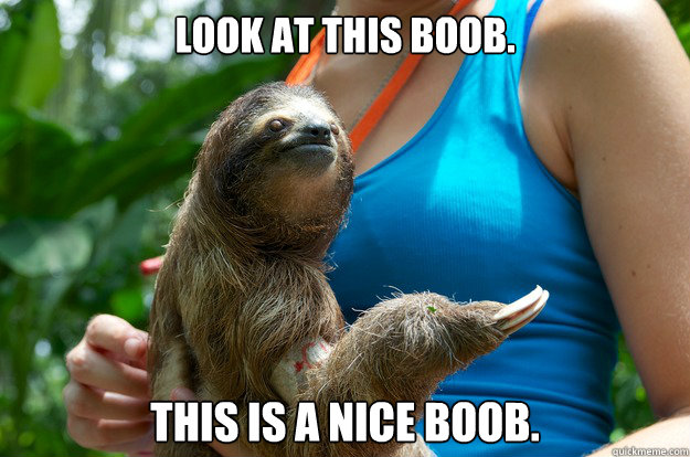 look at this boob this is a nice boob -