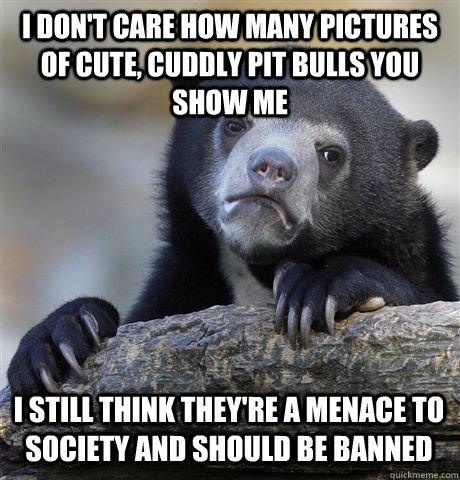 i dont care how many pictures of cute cuddly pit bulls you - Confession Bear