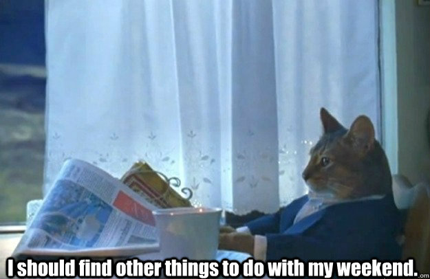 i should find other things to do with my weekend - Sophisticated Cat is broke