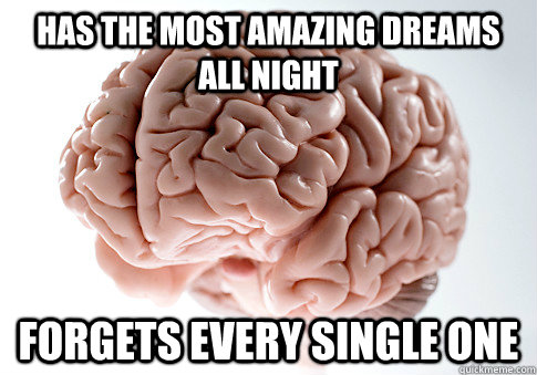 has the most amazing dreams all night forgets every single o - Scumbag Brain