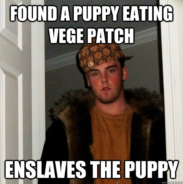 found a puppy eating vege patch enslaves the puppy - Scumbag Steve