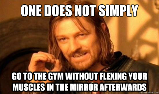 one does not simply go to the gym without flexing your muscl - Boromir