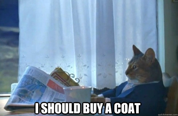 i should buy a coat - Sophisticated Cat