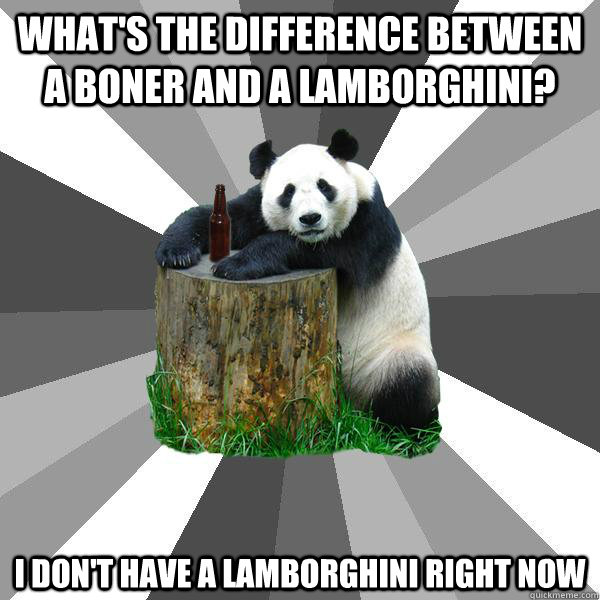 whats the difference between a boner and a lamborghini i d - Pickup-Line Panda
