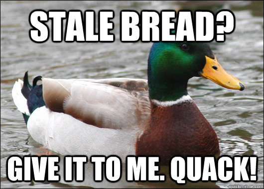stale bread give it to me quack - Actual Advice Mallard