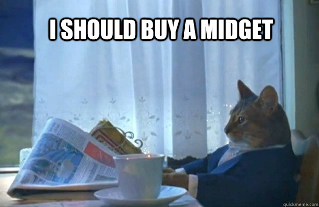 i should buy a midget - Sophisticated Cat