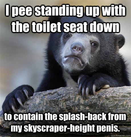 i pee standing up with the toilet seat down to contain the s - Confession Bear