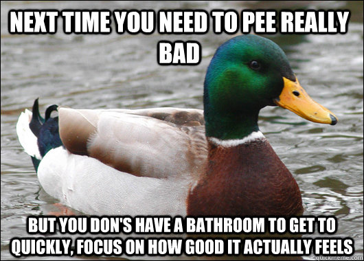 next time you need to pee really bad but you dons have a b - Actual Advice Mallard