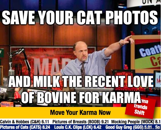 Save your cat photos And milk the recent love of bovine for - Mad Karma with Jim Cramer