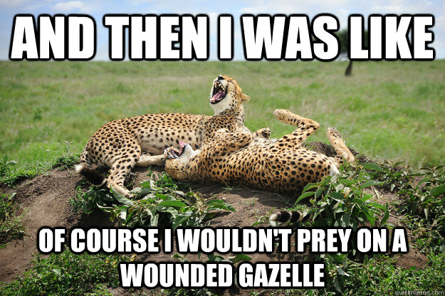 and then i was like of course i wouldnt prey on a wounded g - Laughing Cheetahs