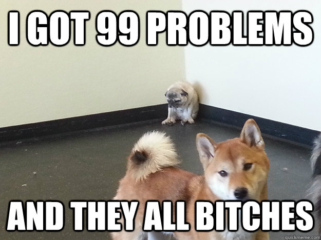 i got 99 problems and they all bitches -