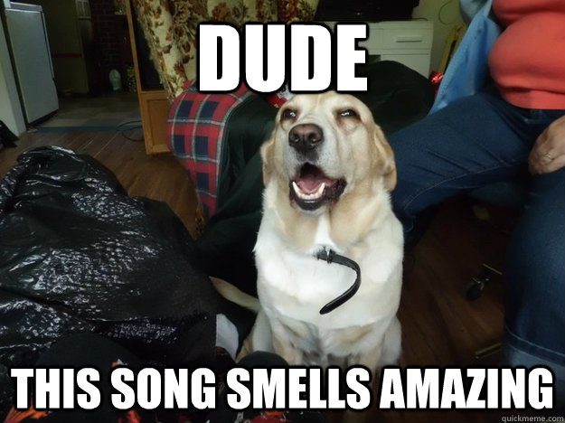 dude this song smells amazing - 10 dog
