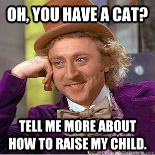 oh you have a cat tell me more about how to raise my chil - Condescending Wonka