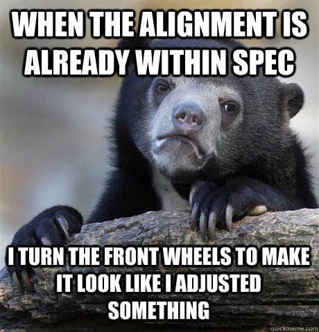 when the alignment is already within spec i turn the front w - Confession Bear