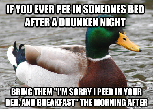 if you ever pee in soneones bed after a drunken night bring - Actual Advice Mallard