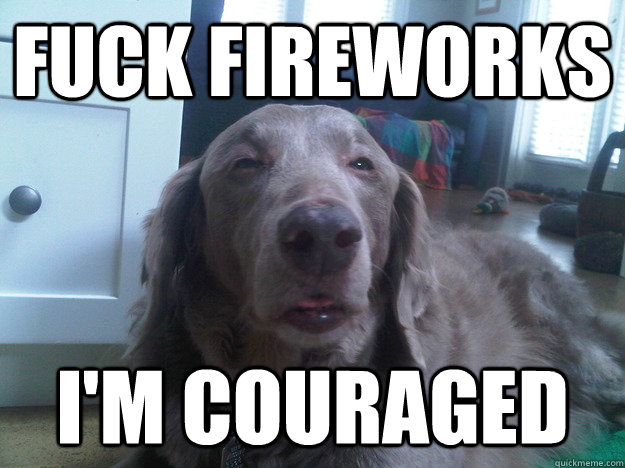 fuck fireworks im couraged - 10 Dog