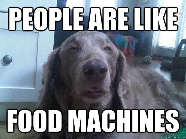 people are like food machines - 10 Dog